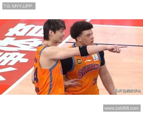 兵强马壮！上海男篮阵容：王哲林张镇麟洛夫顿古德温弗格领衔